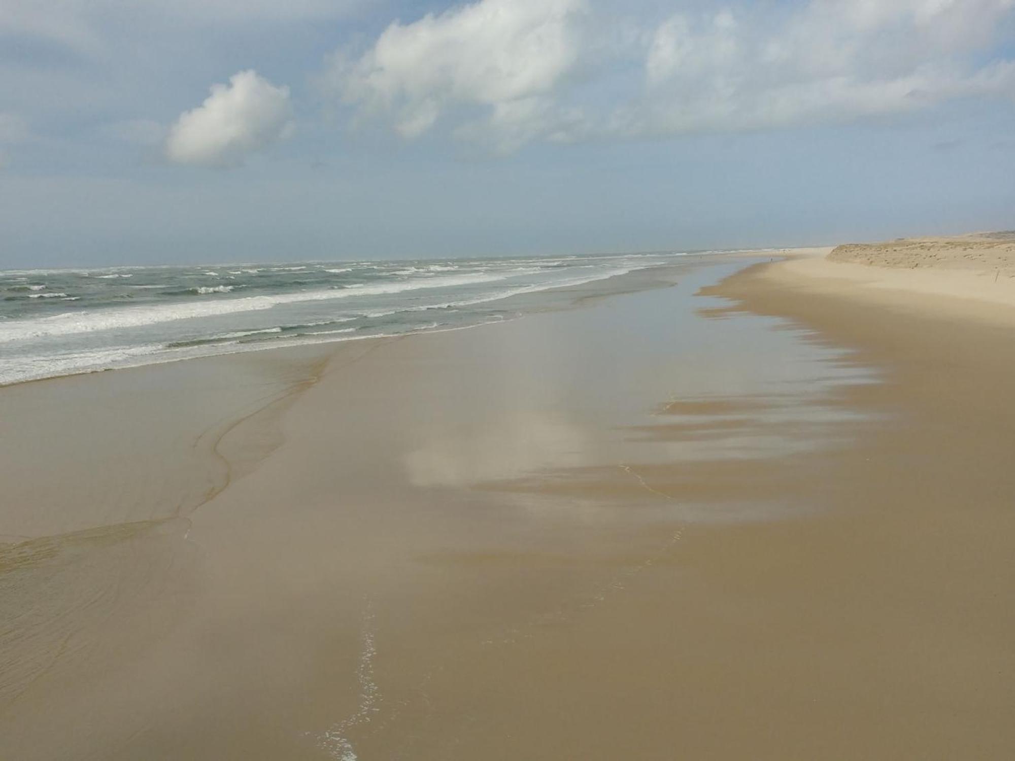 Charmant Appartement Pour 6 En Centre-Ville D'Arcachon Avec Terrasse, Parking Et Wifi - Fr-1-474-174 Dış mekan fotoğraf